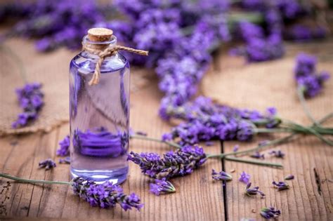 Lavender and Love Magic: Enhancing Romance and Relationships with this Enchanting Herb